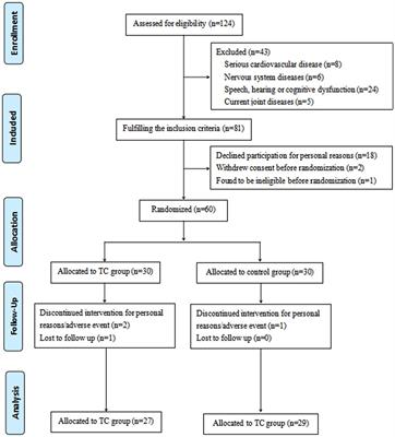 Effects of 12 weeks of Tai Chi on neuromuscular responses and postural control in elderly patients with sarcopenia: a randomized controlled trial